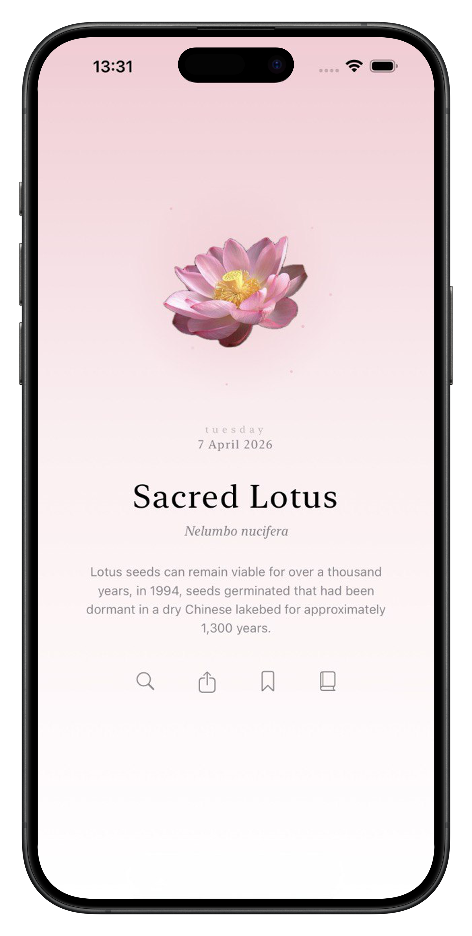 Flora app screenshot showing a daisy on a dark background